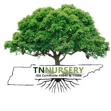 CertifiedReview's tweet photo. Tennessee Wholesale Nursery is America's most reputable online plant nursery. Find out why on CCR:

https://t.co/EVZbybTQPd https://t.co/CjI6UcDBfG