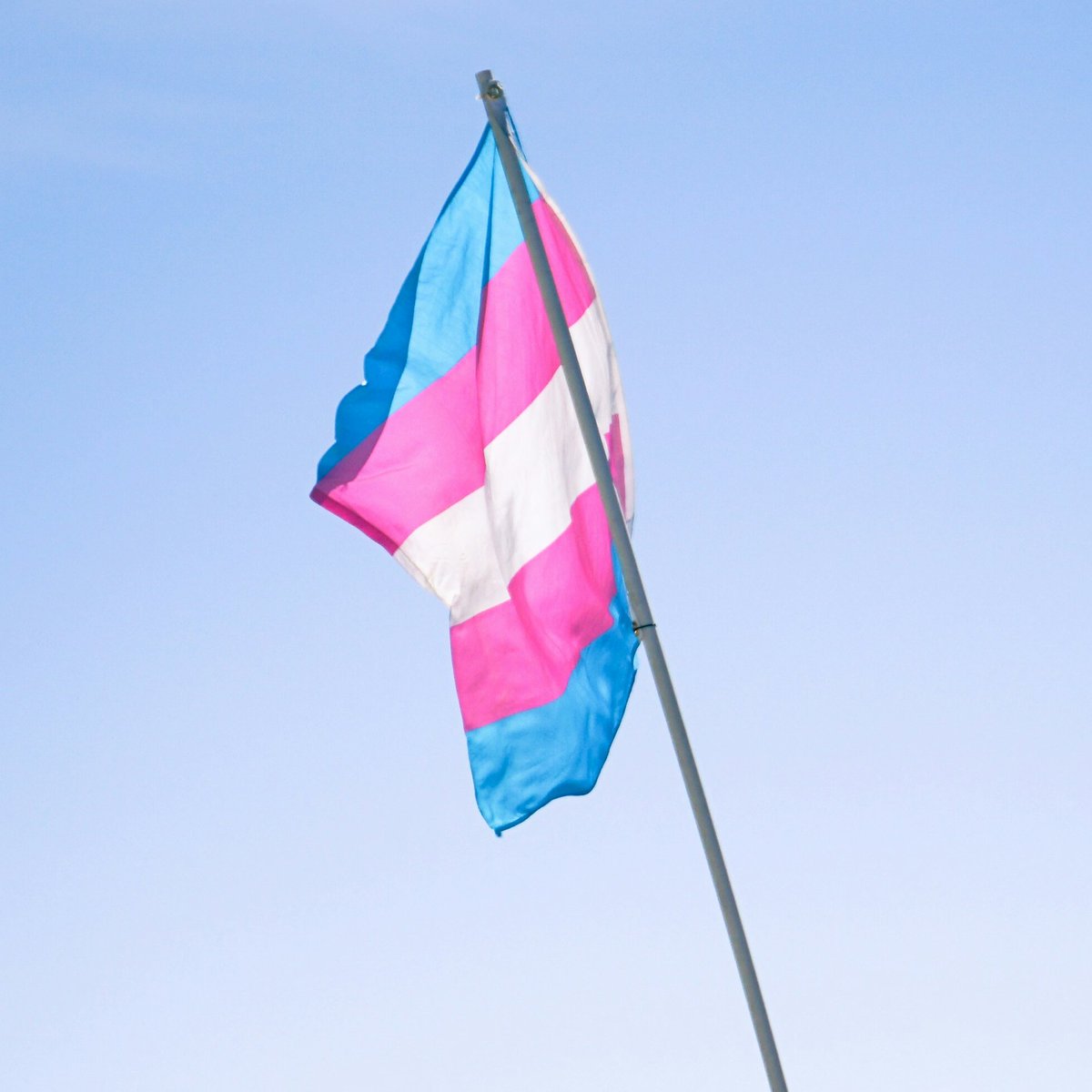 Hugo Gloss tweet media