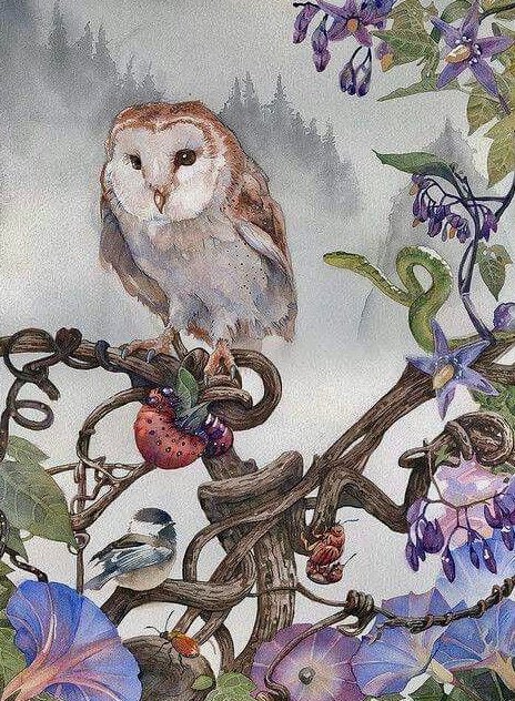 Mary-Ann Thorson𐃆 tweet media