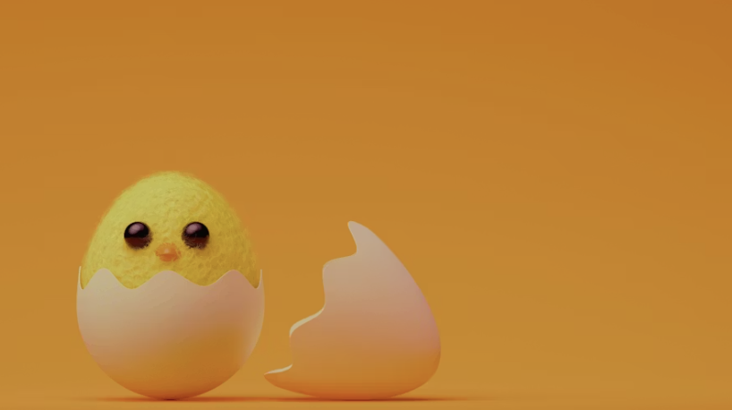 Donna Fluss tweet media