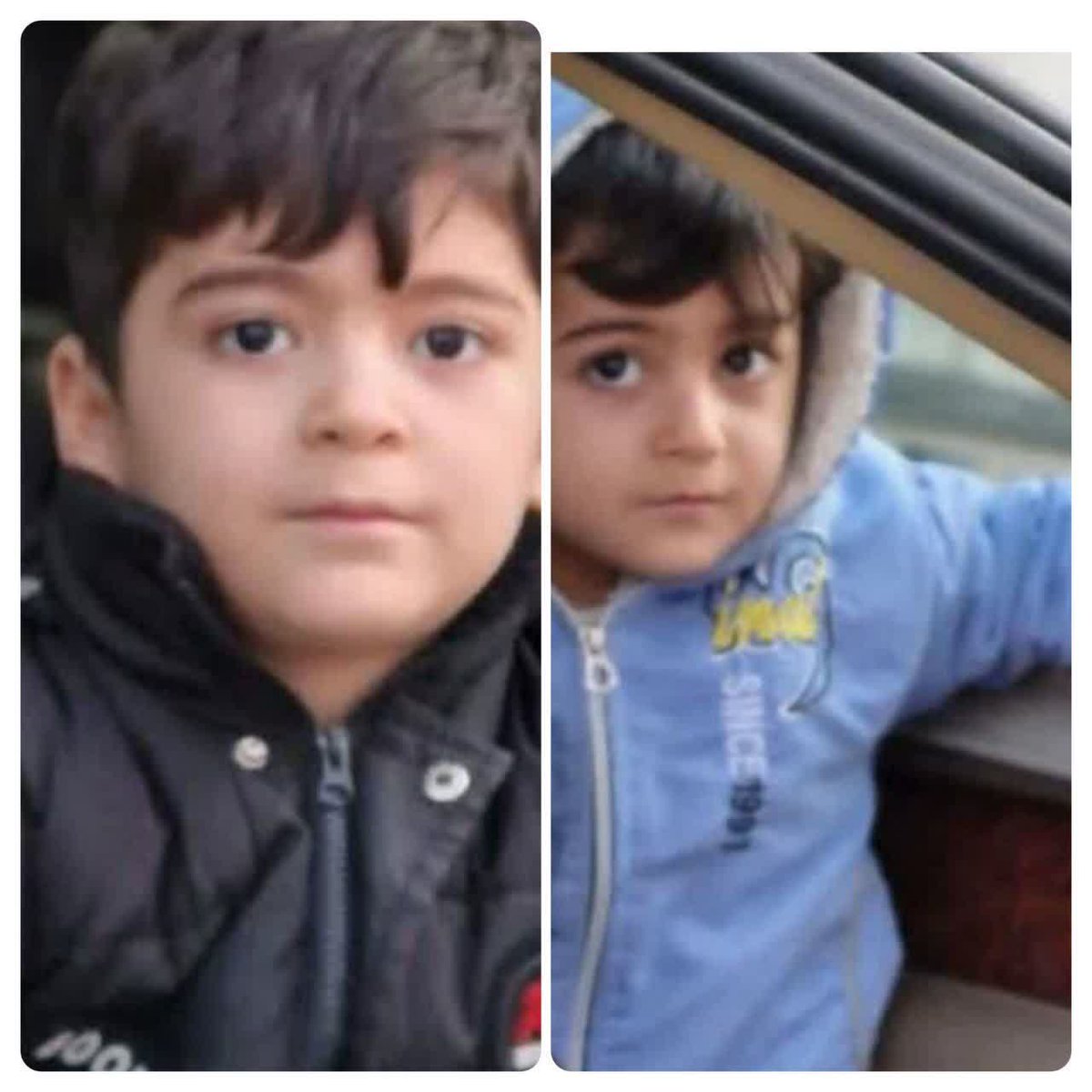 Mreza Danaei tweet media