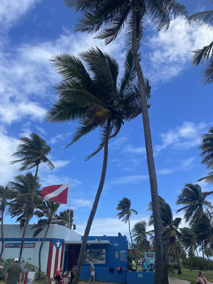 Olivia Adams ✨Boston, MA ✨ tweet media