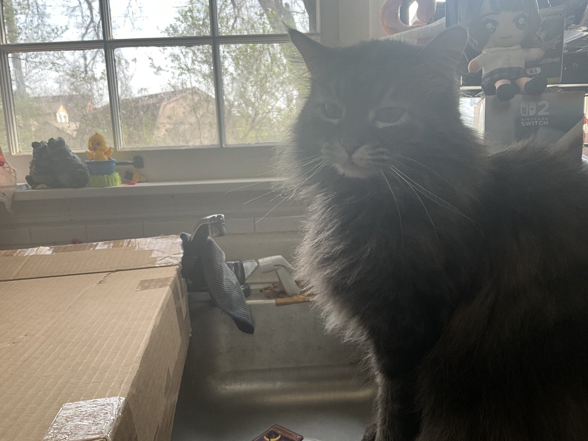 Transfan2 tweet media