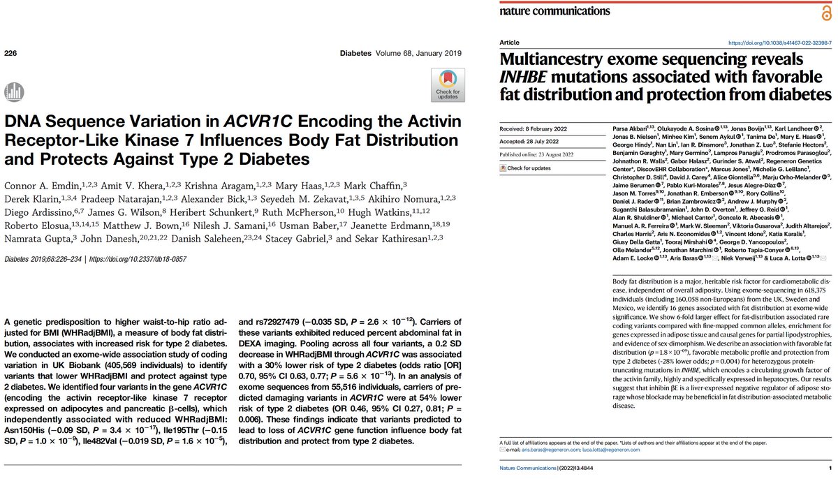 skathire's tweet photo. A reminder worth noting today.

For both the receptor (ACVR1C gene encoding ALK7, discovery 2019) and the ligand (INHBE gene encoding Activin E, discovery 2022):

NO association of human genetic variation with overall BMI

but 

rather the distribution of weight across compartments (visceral vs not) as well as cardiometabolic diseases