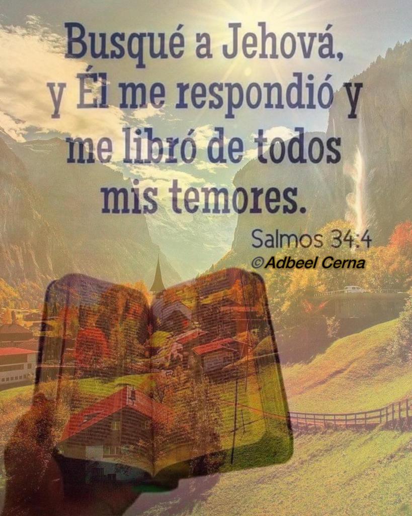 Marco Rodas™👑🇬🇹 tweet media