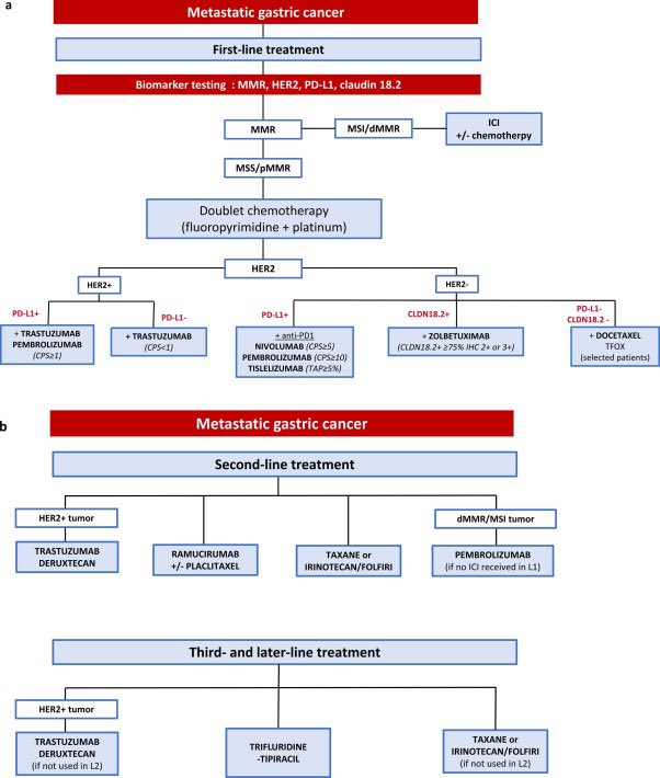 DraMartinezLago's tweet photo. 🇫🇷🧬 Gastric cancer: updated French guidelines (2026)

🔹 Periop FLOT = SoC ≥cT2/cN+
🔹 + Durva → PFS & OS benefit
🔹 M1 setting → biomarker-driven (HER2, CLDN18.2, MSI, PD-L1)
🔹 MDT & staging key (incl. laparoscopy)

📌 Increasingly precision-based management

🔗 https://t.co/ojc099qibt
@OncoAlert