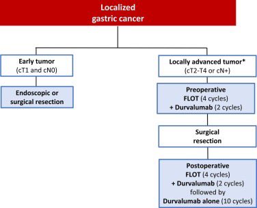 DraMartinezLago's tweet photo. 🇫🇷🧬 Gastric cancer: updated French guidelines (2026)

🔹 Periop FLOT = SoC ≥cT2/cN+
🔹 + Durva → PFS & OS benefit
🔹 M1 setting → biomarker-driven (HER2, CLDN18.2, MSI, PD-L1)
🔹 MDT & staging key (incl. laparoscopy)

📌 Increasingly precision-based management

🔗 https://t.co/ojc099qibt
@OncoAlert