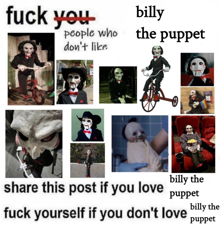 sharkie 🦇༉‧₊˚. tweet media