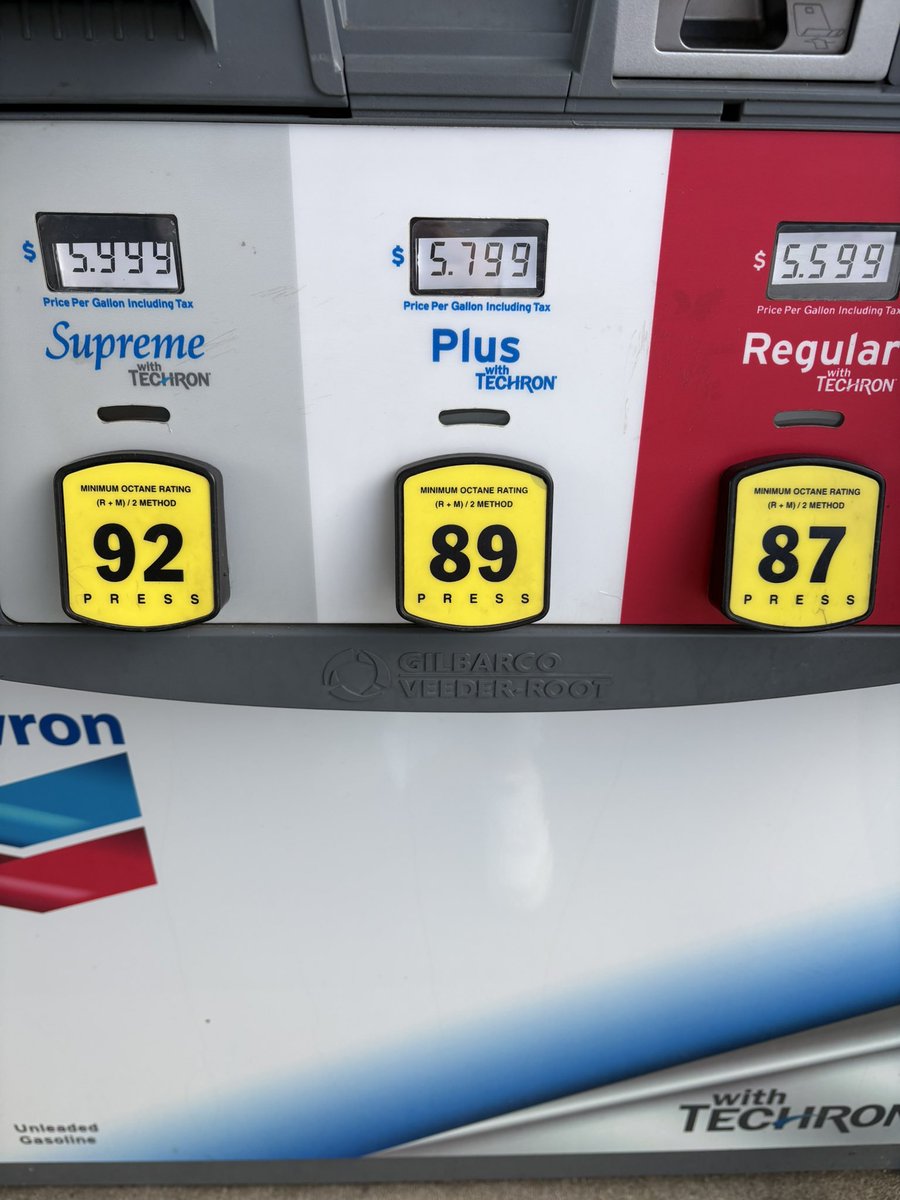 tiffany🌷✨🧚🏻‍♀️ tweet media