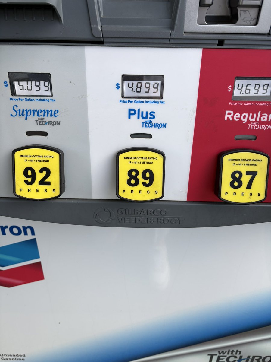 tiffany🌷✨🧚🏻‍♀️ tweet media