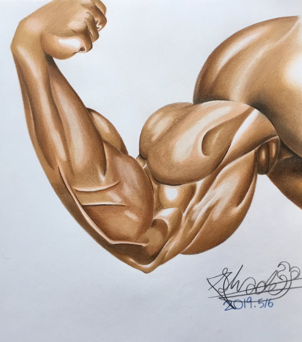 Phantom_Circus8's tweet photo. (過去絵)
💪(👀💪)筋肉スケッチ✍️
#シェイディメンション
#ShadeDimension
#色鉛筆絵
#ColoredPencilDrawing
#筋肉
#muscle https://t.co/JUupk53xW2