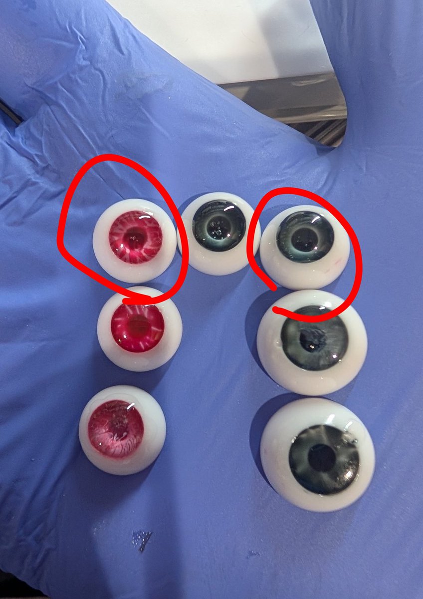 わんた🐾 tweet media