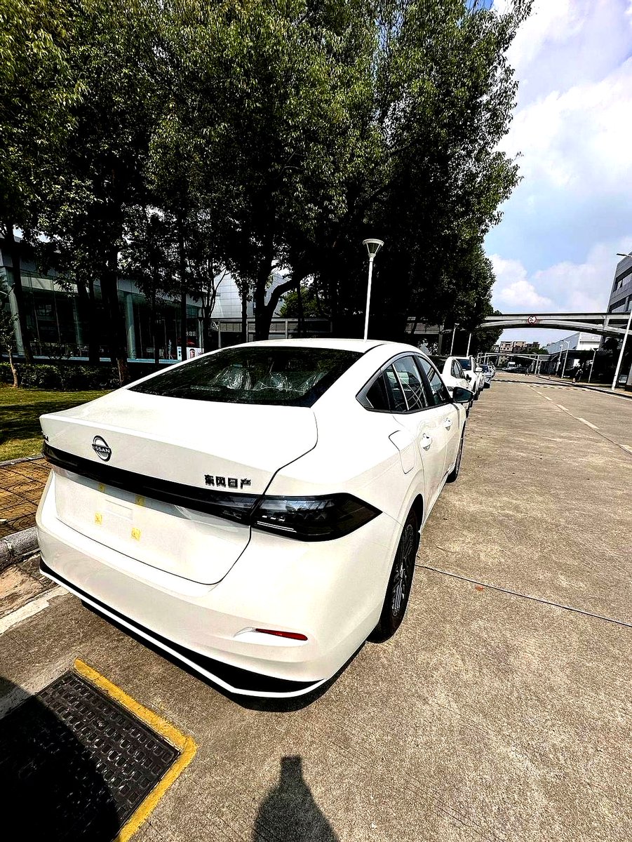 Baina N. tweet media