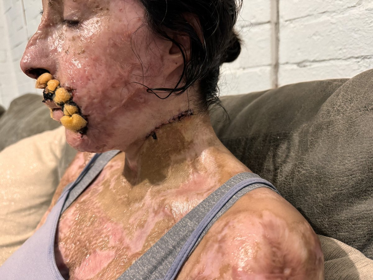 Wikichava tweet media