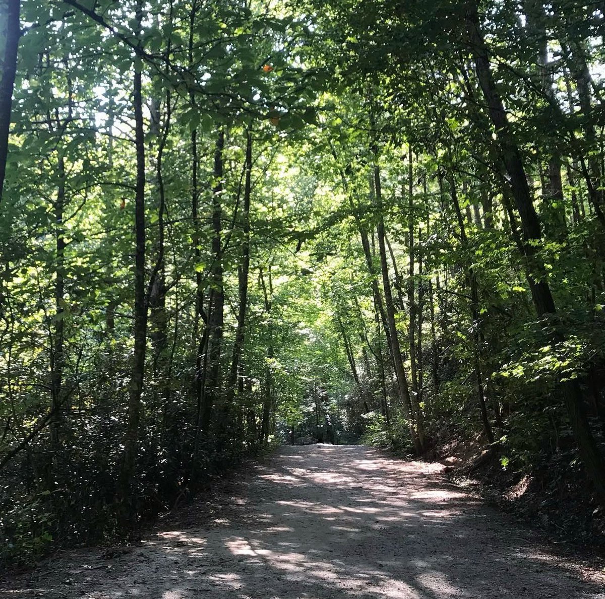 Princess Emily tweet media