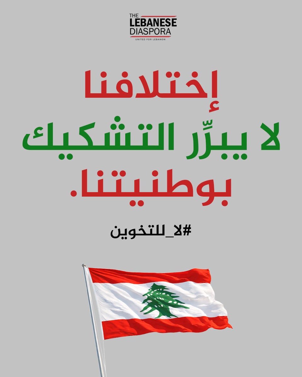 The Lebanese Diaspora Network tweet media