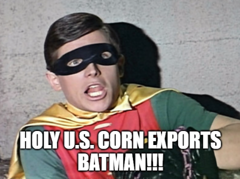 Pedro H Dejneka tweet media