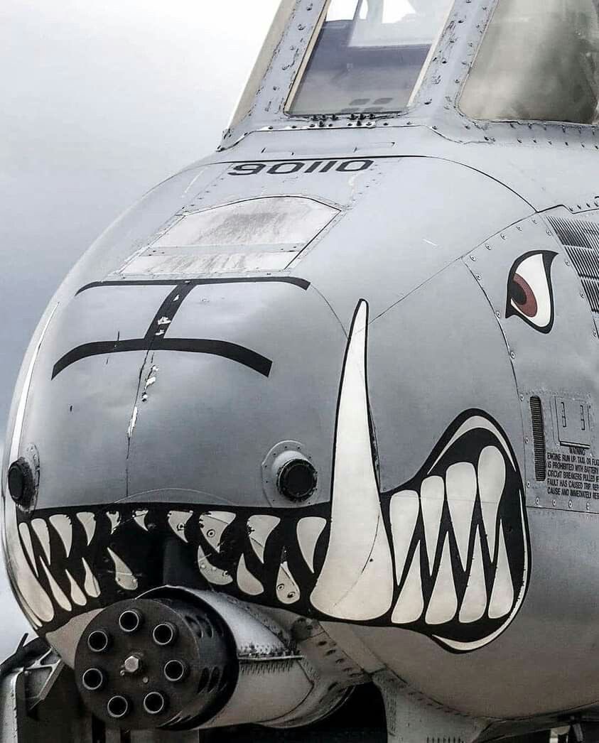 شؤون عسكرية سعودية tweet media