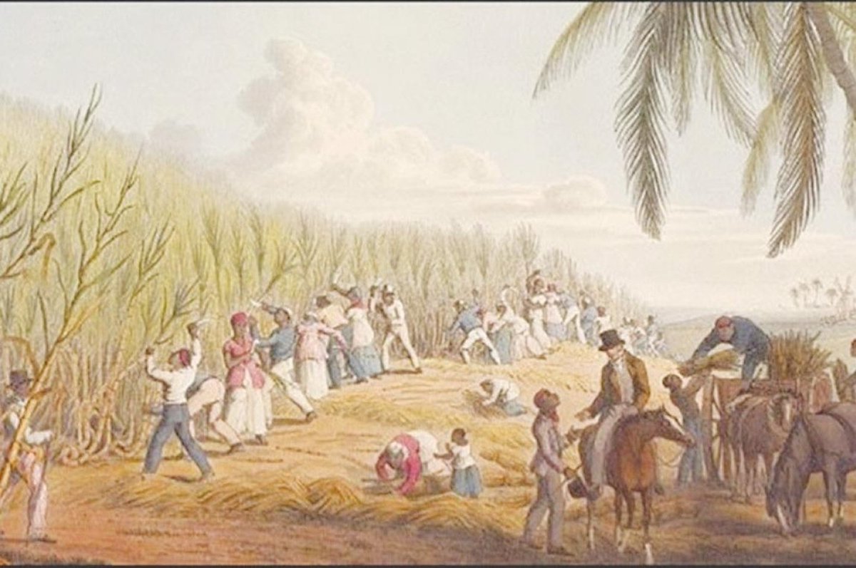 TweetsPTY 🇵🇦 tweet media