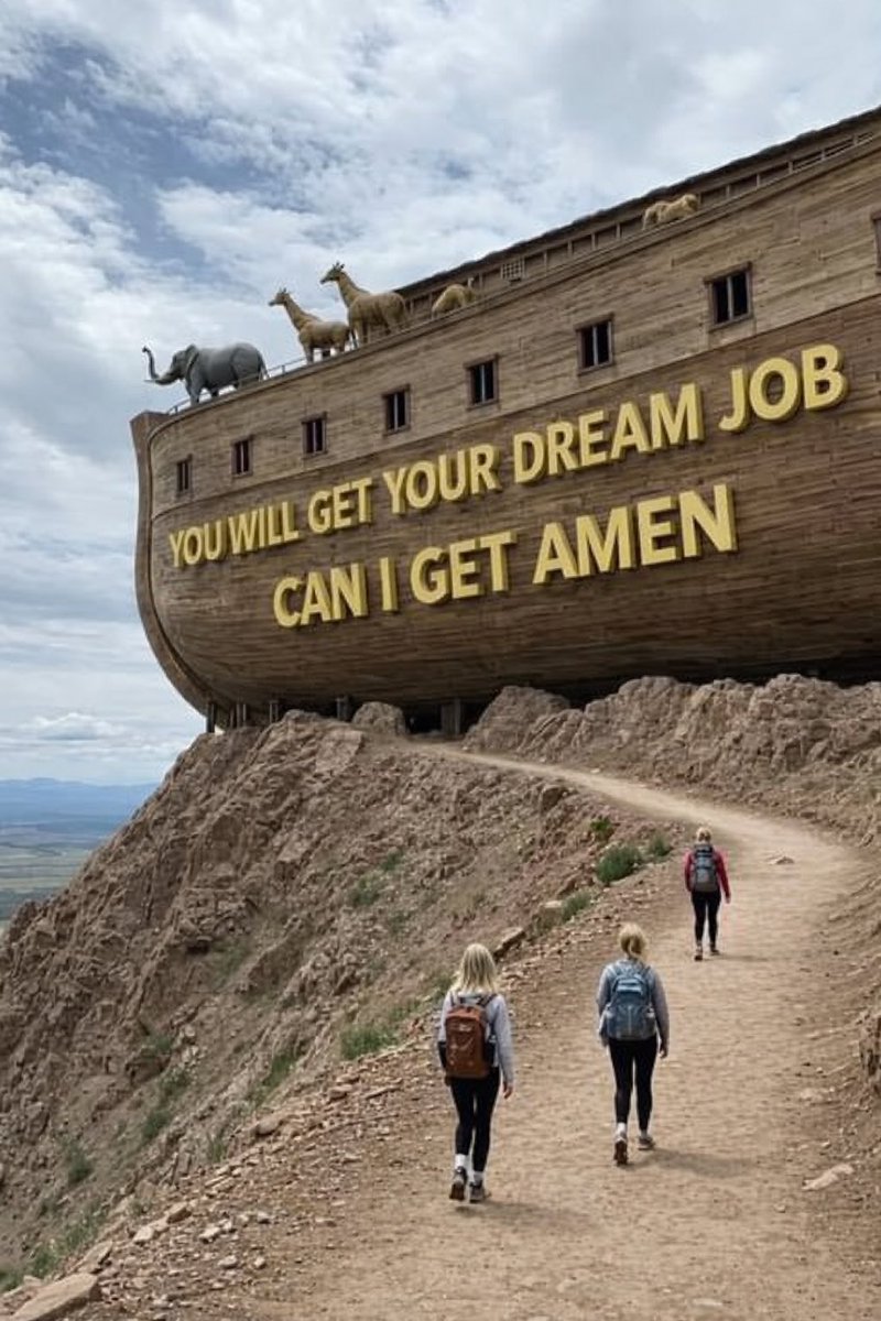 ProgressCode🌺 tweet media