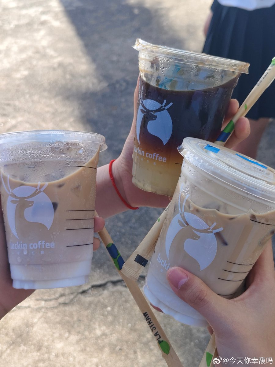 Dylan bocquet tweet media