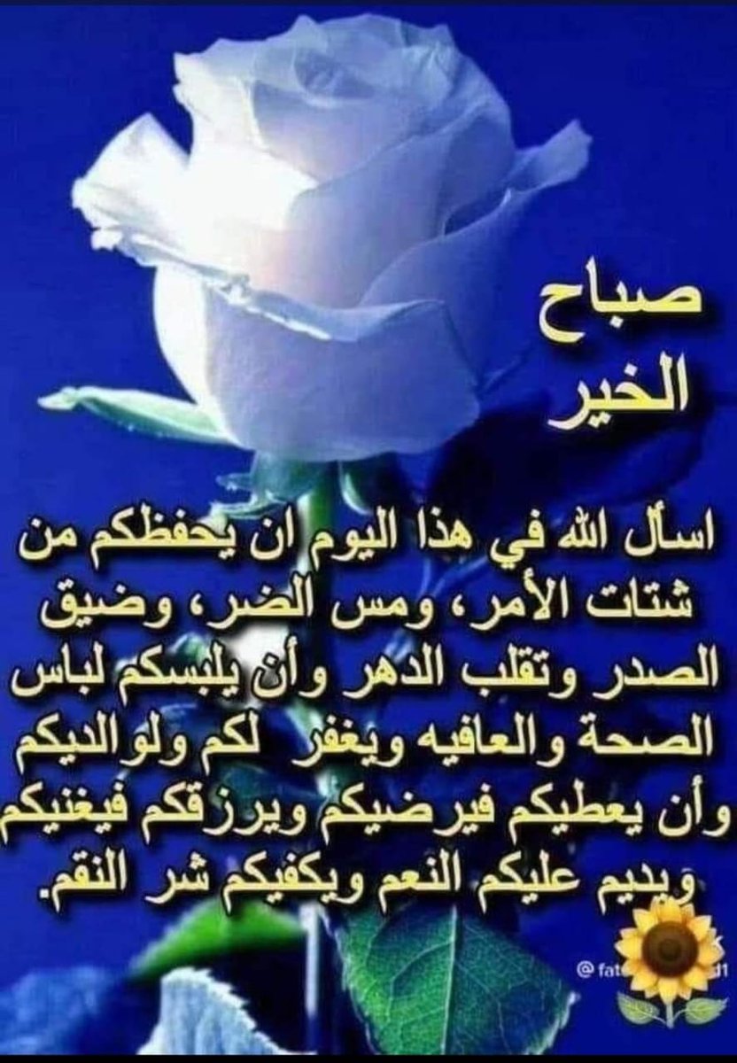 محمد فتحي tweet media