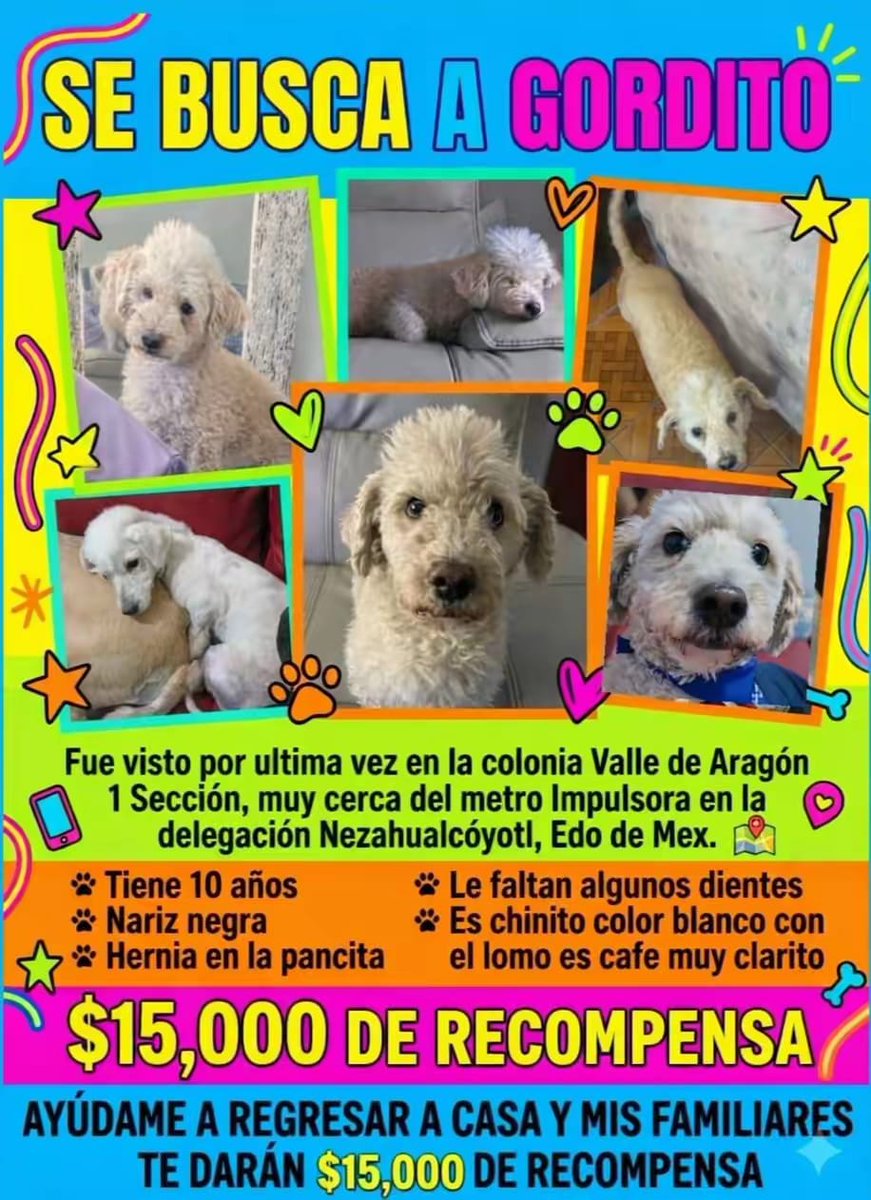 Alfredo Marquez T. tweet media