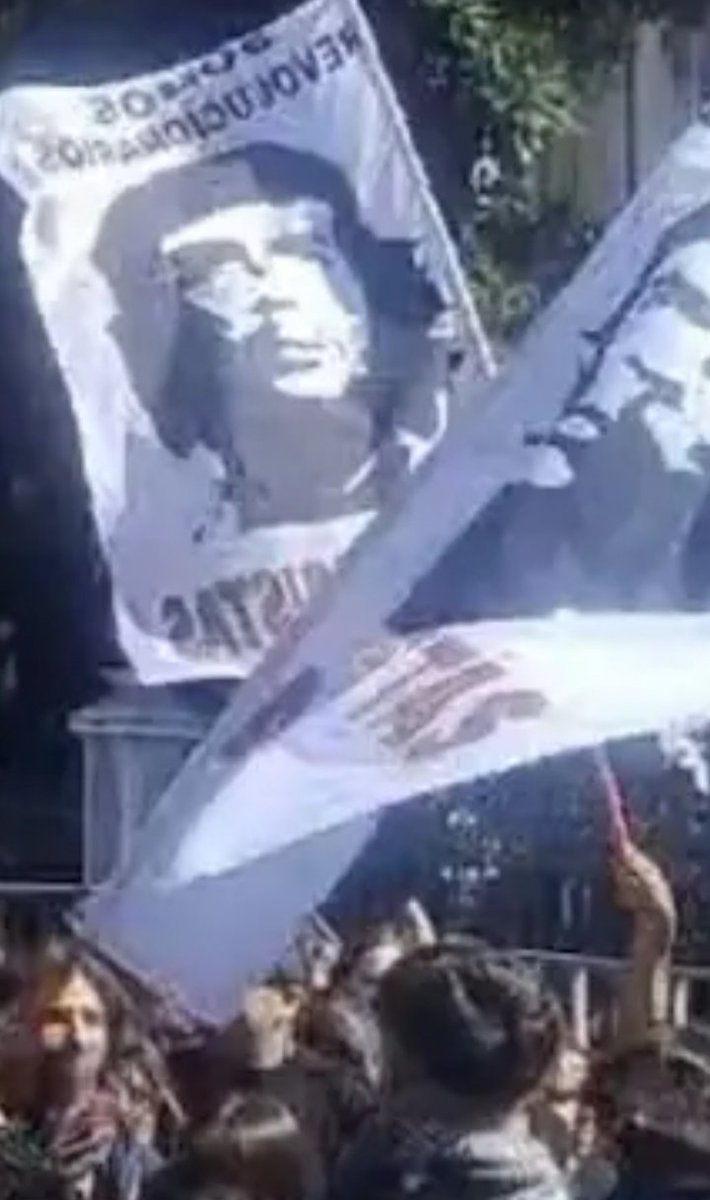 El Capi 🇨🇱 tweet media