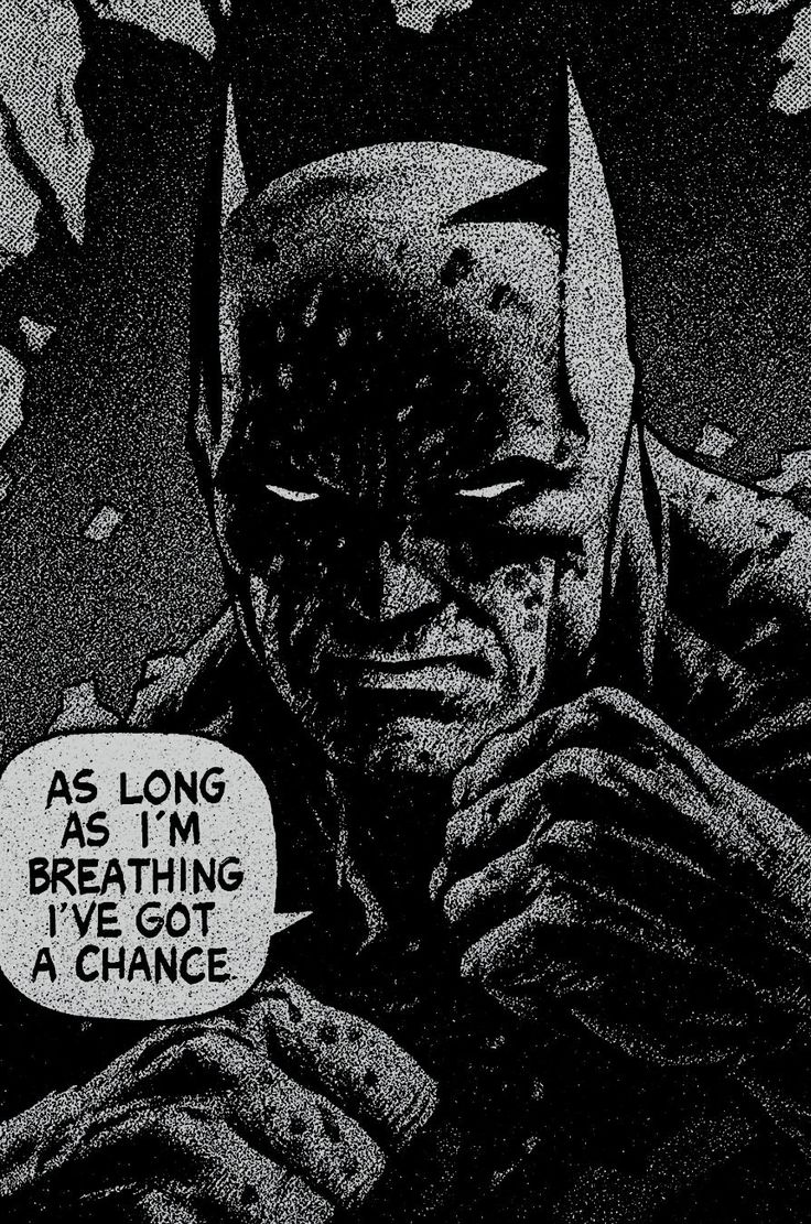 Wisdom Stoics tweet media