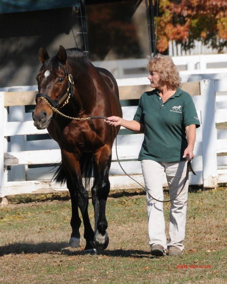 Javier I. Farache tweet media