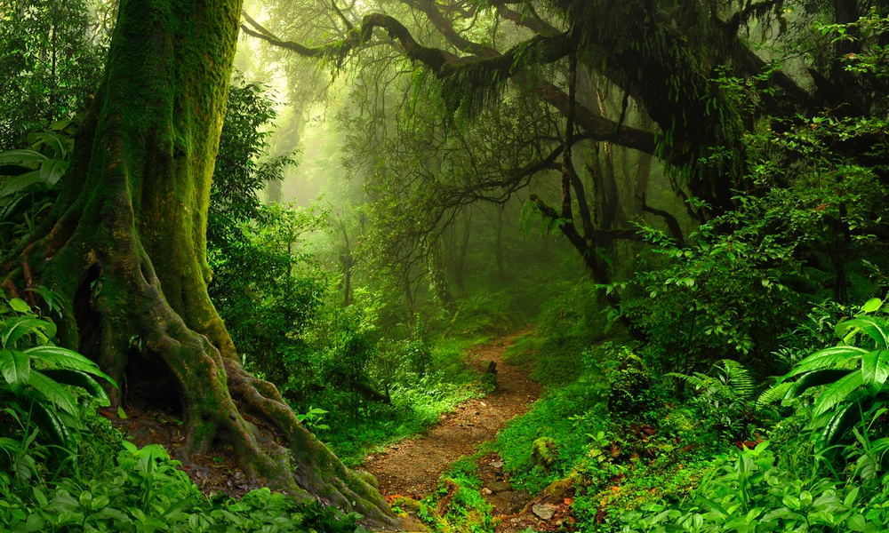 The Doctor tweet media