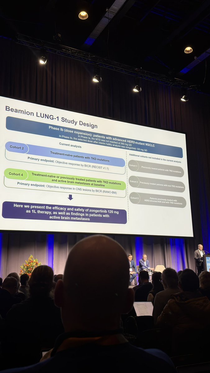 Mario Balsa tweet media