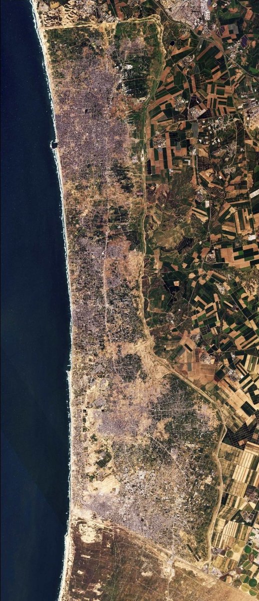 UnthinkMajor's tweet photo. @d25386a80d374e8 @Jewishlegend18 Right, because every single building ravaged by Israel here contained soldiers and weapons? It is BEYOND vengeful to shell nearly every single civilian target you can reach if you have a shred of morality in your body. How does 1,000 Israeli lives justify complete annihilation? https://t.co/57uLj2HqlS