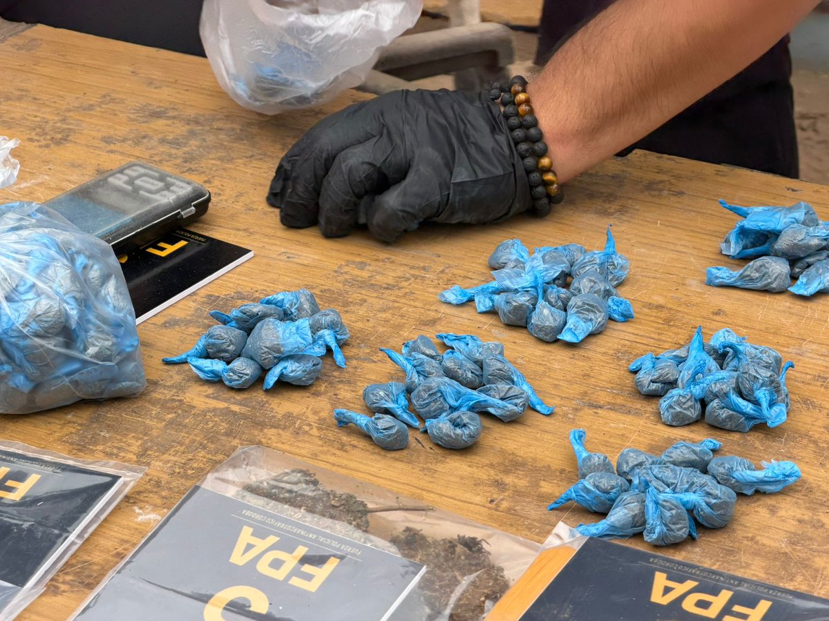 Javier A. Sassi tweet media