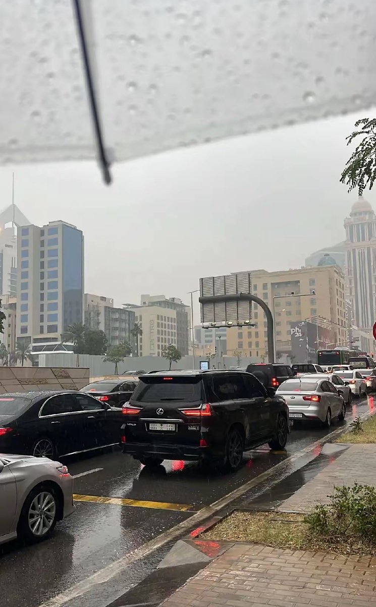 ميم ᥫ᭡🕊️ tweet media