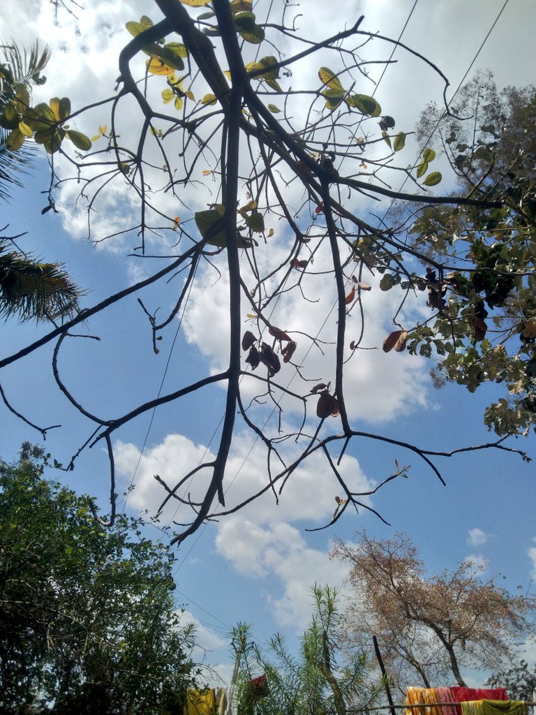 Bella🌸 tweet media