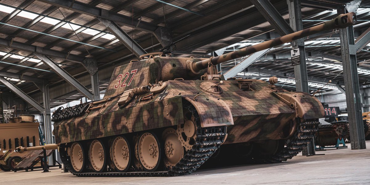 Shy Elite 🐯⚙️ tweet media