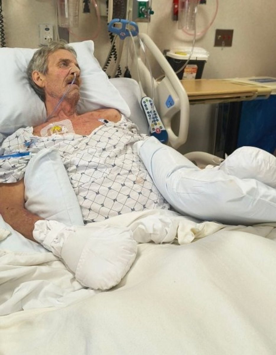 Aliza Malik tweet media