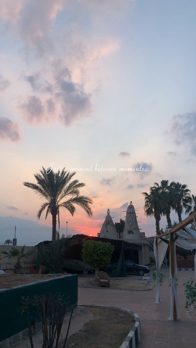 HodeebAhmed's tweet photo. ❣️🤩 https://t.co/Fh8kh7seny