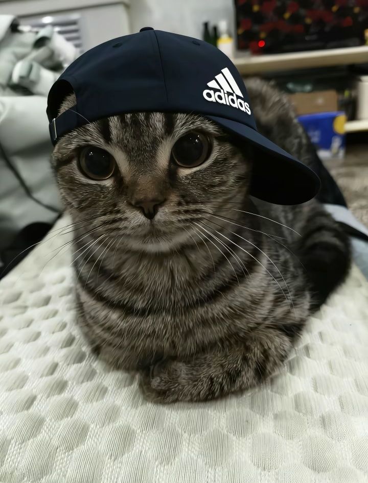 teddy ..🛰 tweet media