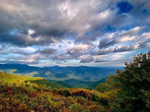 🇺🇸 The American Culturist 🇺🇸 tweet media