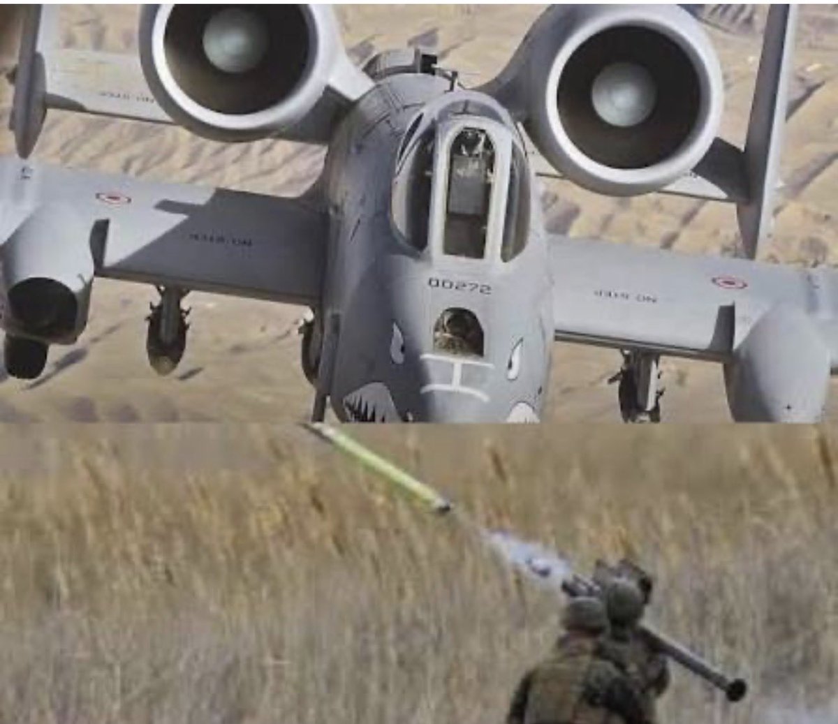 شخص ما .. tweet media