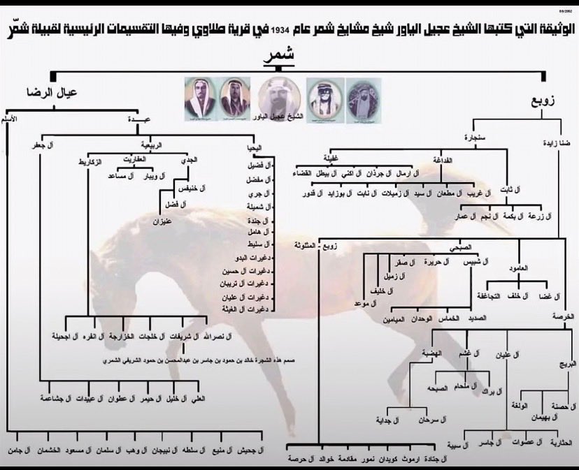 بندر ✪ tweet media