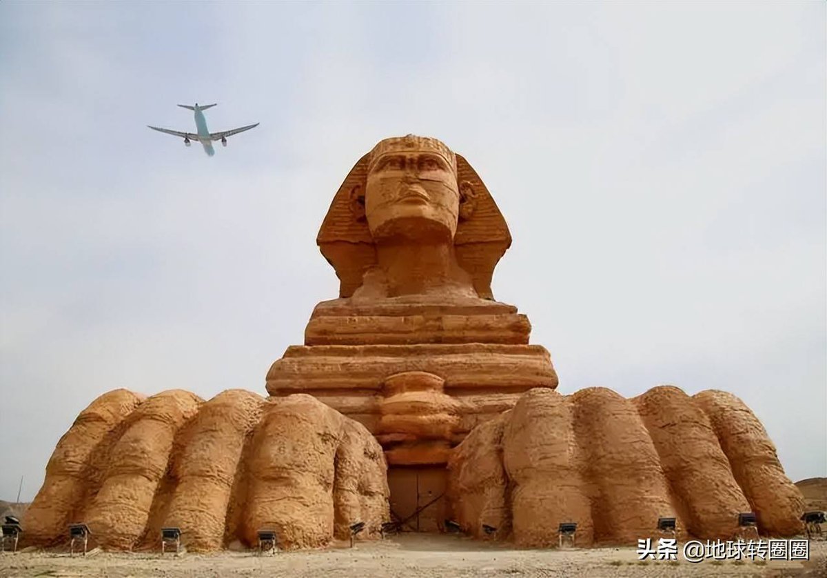 Collin Buchan tweet media