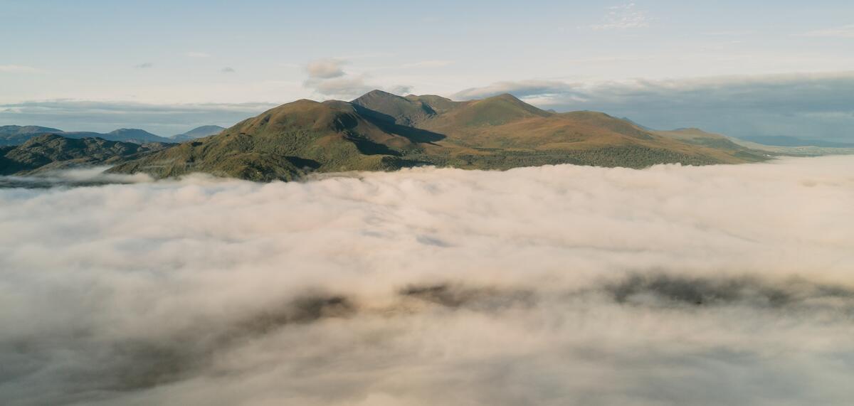 DestinationKillarney tweet media