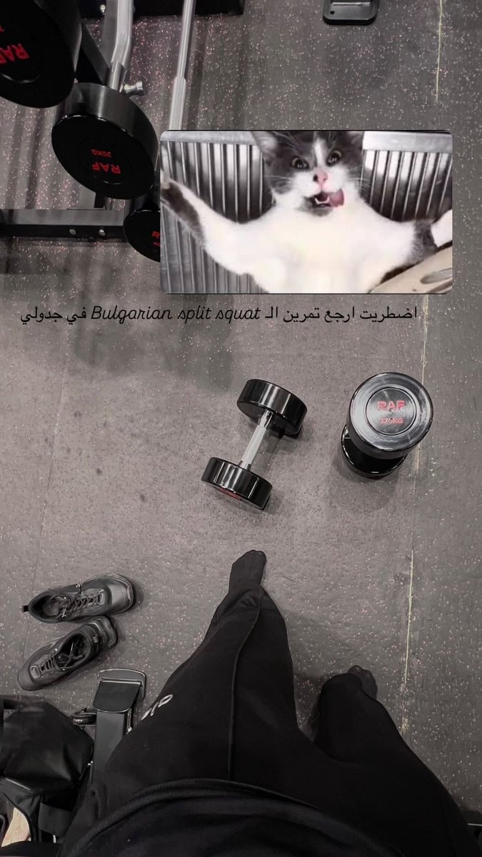 Coach Shosh tweet media