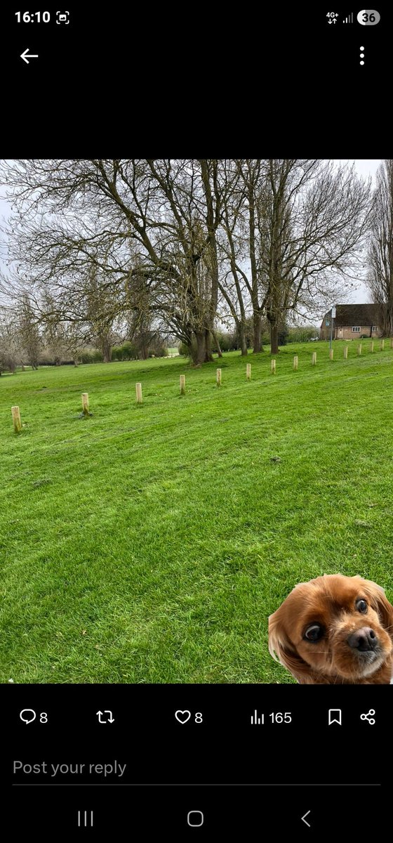 El Sharpo tweet media