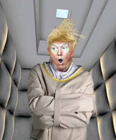 Randall Lace🟦🟧🇺🇸🇺🇦🌈 tweet media