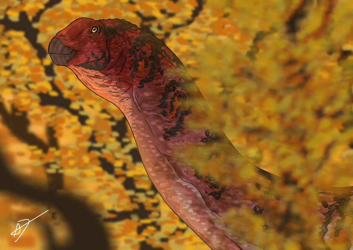 Danglerkgk☆ tweet media