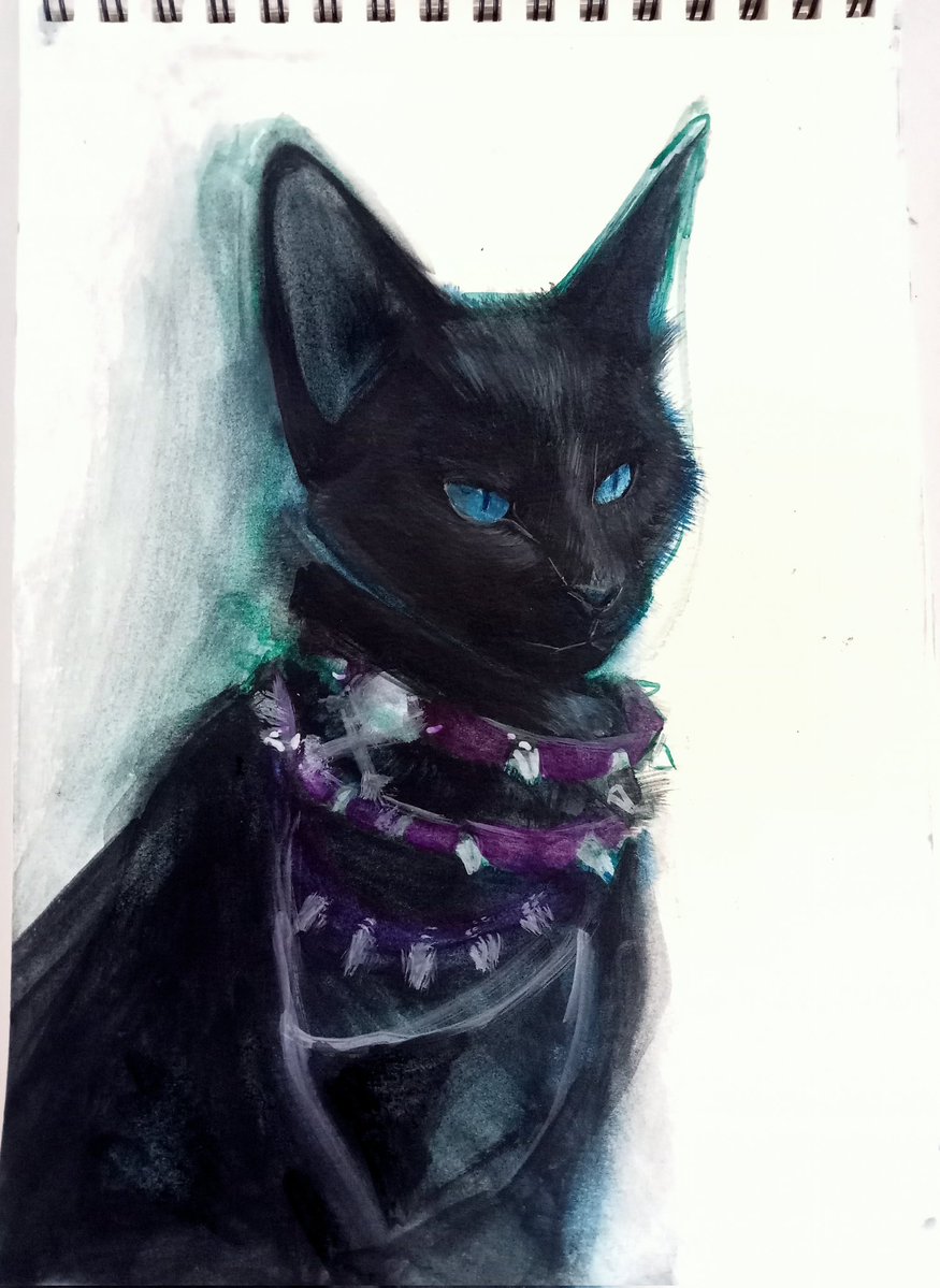 Bell_Whisker tweet media